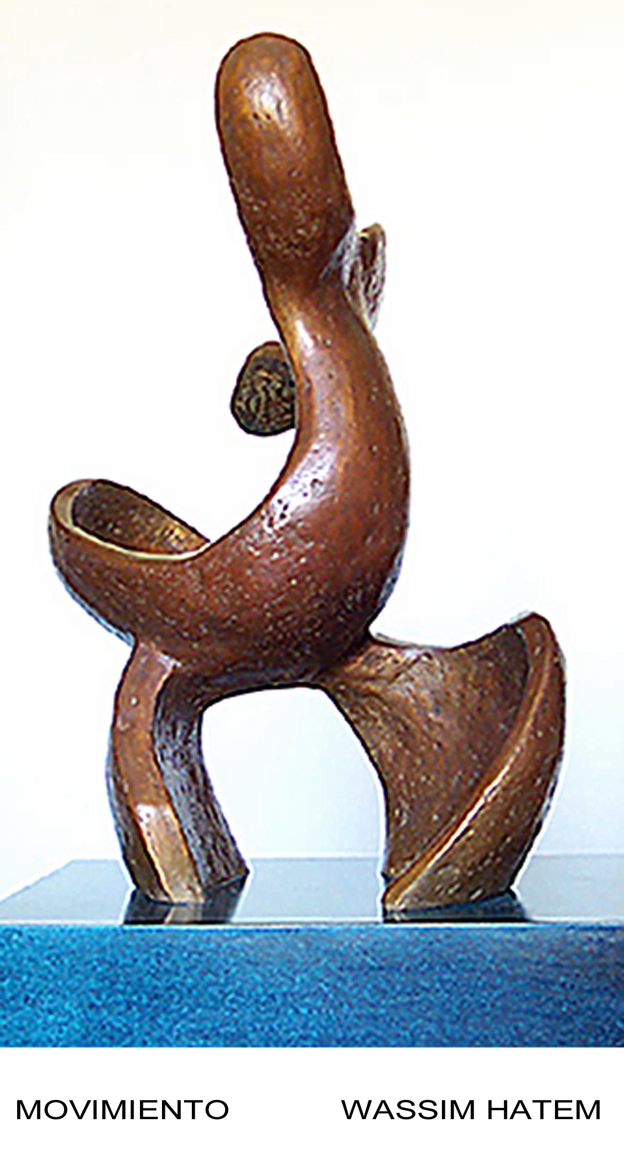 MOVIMIENTO 2.jpg (207206 bytes)